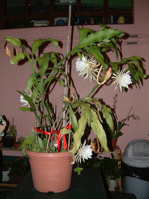 DSCF0191.JPG