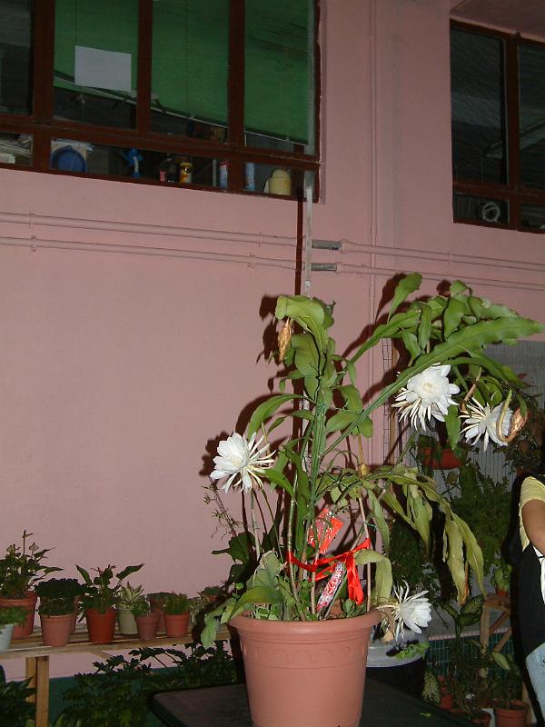 DSCF0309.JPG