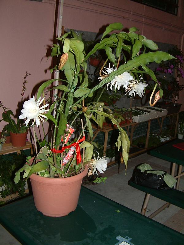 DSCF0328.JPG