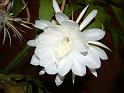 DSCF0257