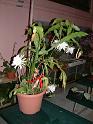 DSCF0327
