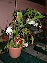 DSCF0329