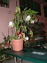 DSCF0331