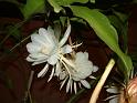 DSCF0345