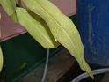 DSCF0019