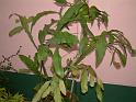 DSCF0024