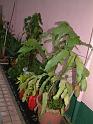DSCF0025