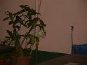 DSCF0074