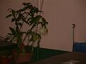 DSCF0078