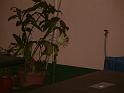 DSCF0079