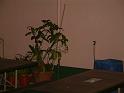 DSCF0086