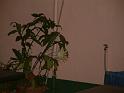DSCF0088
