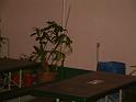 DSCF0091