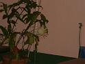 DSCF0093
