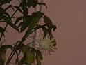 DSCF0096