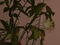 DSCF0097