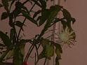 DSCF0098
