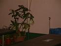 DSCF0102