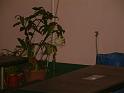DSCF0103