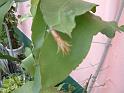 DSCF0068