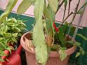 DSCF0187