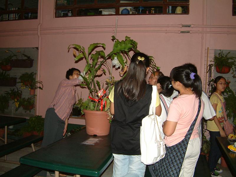 DSCF0244.JPG