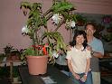DSCF0225