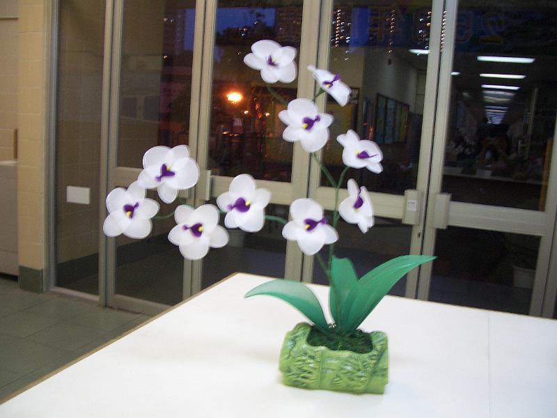 CIMG7188.JPG