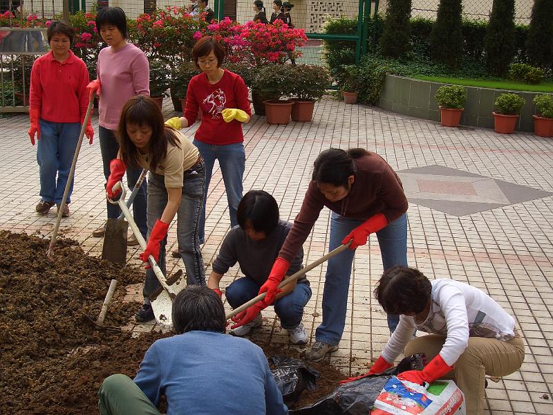 CIMG6015.JPG