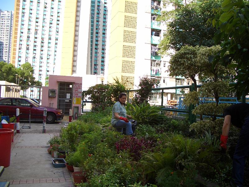 CIMG7683.JPG