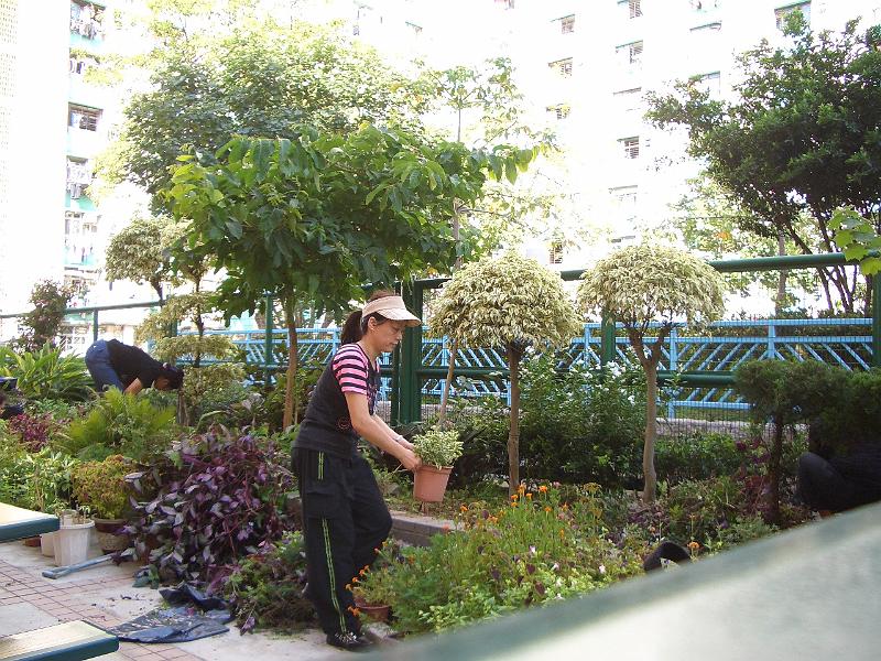 CIMG7687.JPG