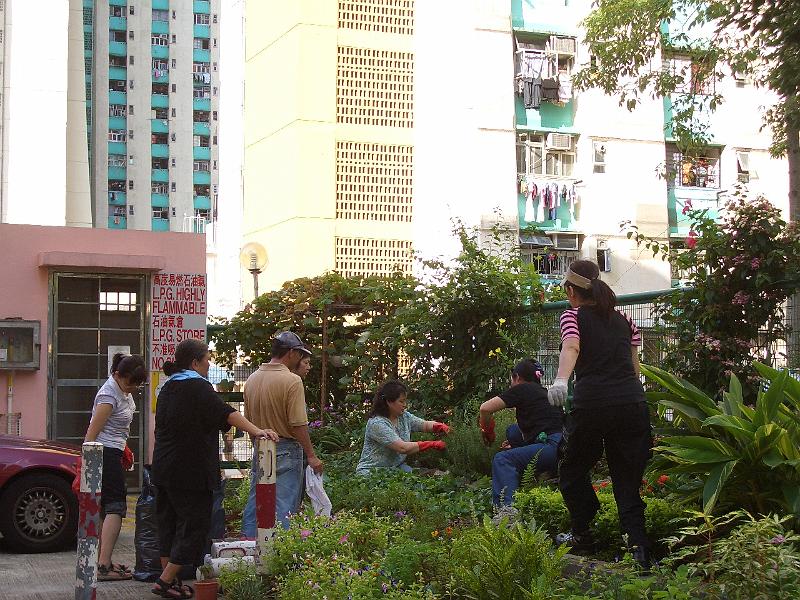 CIMG7704.JPG