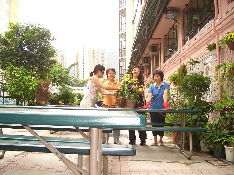 CIMG8382.JPG