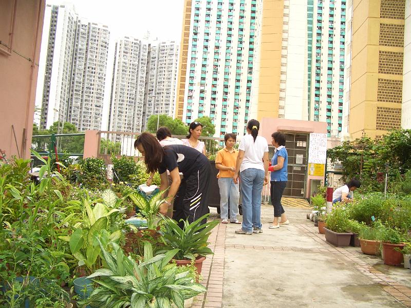 CIMG8399.JPG