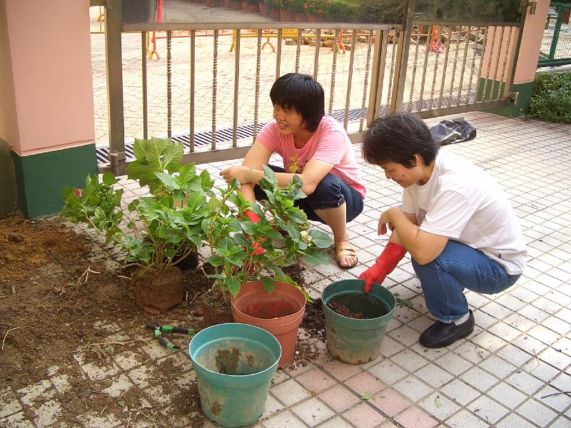 CIMG8547.JPG