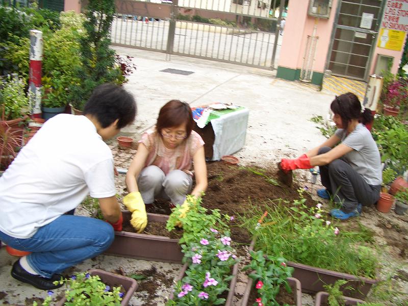 CIMG8563.JPG