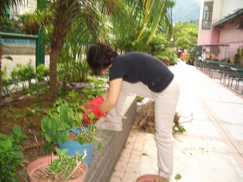 CIMG8586.JPG