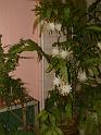 DSCF0014