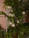 DSCF0015