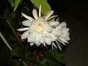 DSCF0057