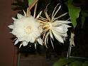 DSCF0059