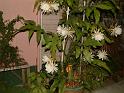 DSCF0064