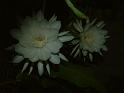 DSCF0076