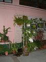 DSCF0082