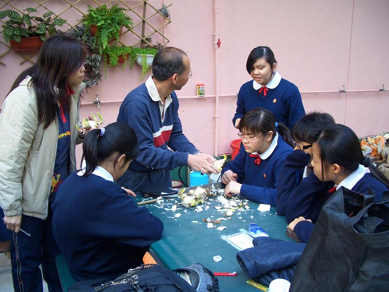 CIMG5405.JPG