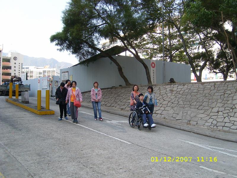 SL270567.JPG