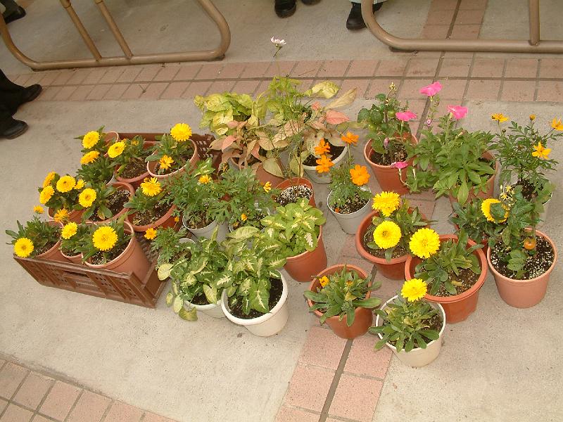 DSCF0191.JPG
