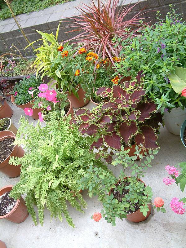 DSCF5801.JPG