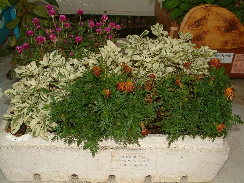 DSCF0022.JPG