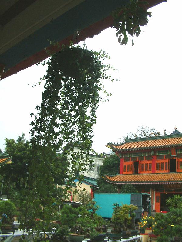 DSCF0148.JPG